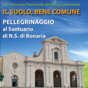 Pellegrinaggio-sito-diocesi-300x300